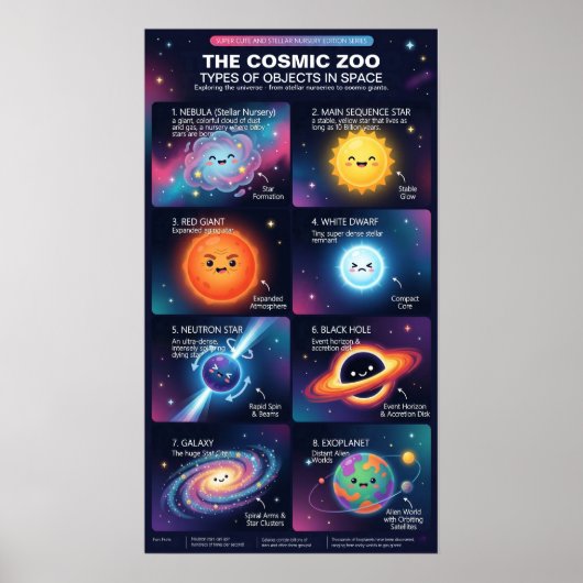 Cosmic Zoo Space Objects Astronomy Infographic Poster (Vorne)