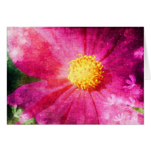 Cosmo (Vorderseite (Horizontal))