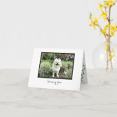 Cosmo #29 Blank Note Card Karte (Gelbe Blume)