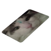 Cosmo 3 Custom Magnet (Linke Seite)