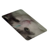 Cosmo 3 Custom Magnet (Rechte Seite)