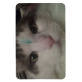 Cosmo 3 Custom Magnet (Vertikal)