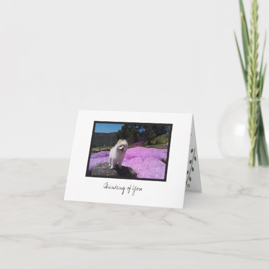 Cosmo #4 - Blankokarte Karte (Vorderseite)