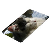 Cosmo 4 X 6 Magnet für benutzerdefiniertes Foto (Linke Seite)