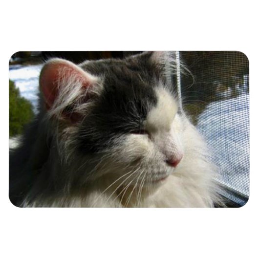 Cosmo 4 X 6 Magnet für benutzerdefiniertes Foto (Horizontal)