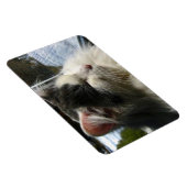 Cosmo 4 X 6 Magnet für benutzerdefiniertes Foto (Rechte Seite)