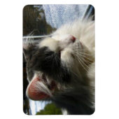 Cosmo 4 X 6 Magnet für benutzerdefiniertes Foto (Vertikal)