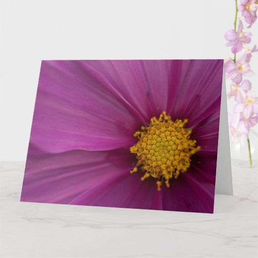 Cosmo-Blume Karte (Orchidee)