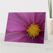 Cosmo-Blume Karte (Vorderseite)