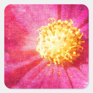 Cosmo-Blume Quadratischer Aufkleber
