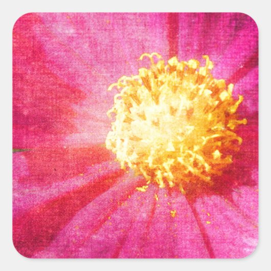 Cosmo-Blume Quadratischer Aufkleber (Vorderseite)