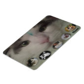 Cosmo Collage Foto Magnet (Linke Seite)