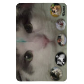 Cosmo Collage Foto Magnet (Vertikal)