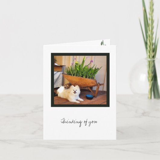 Cosmo Collection Blank Note Card Karte (Vorderseite)