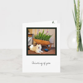 Cosmo Collection Blank Note Card Karte