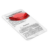 Cosmopoliter Cocktail Drink Rezept Magnet (Rechte Seite)