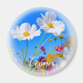 Cosmos グ ネ magnet
