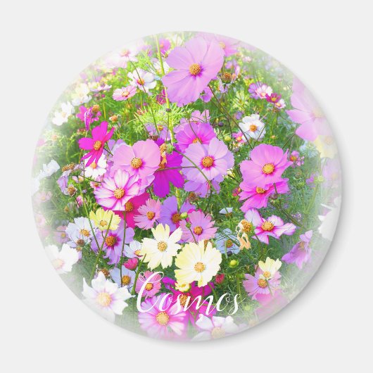 Cosmos グ ネ magnet (Vorne)