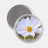 Cosmos グ ネ magnet (Vorderseite/Rückseite)