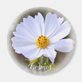 Cosmos グ ネ magnet (Vorne)