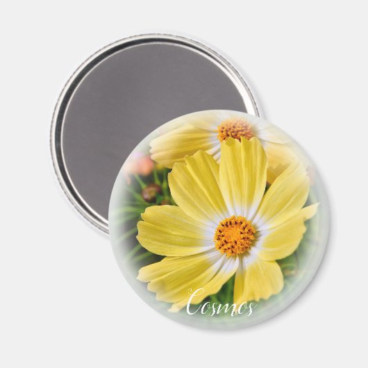 Cosmos グ ネ magnet (Vorderseite/Rückseite)