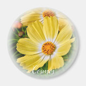 Cosmos グ ネ magnet (Vorne)