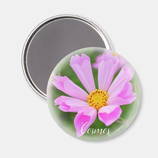 Cosmos グ ネ magnet (Vorderseite/Rückseite)