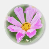 Cosmos グ ネ magnet (Vorne)