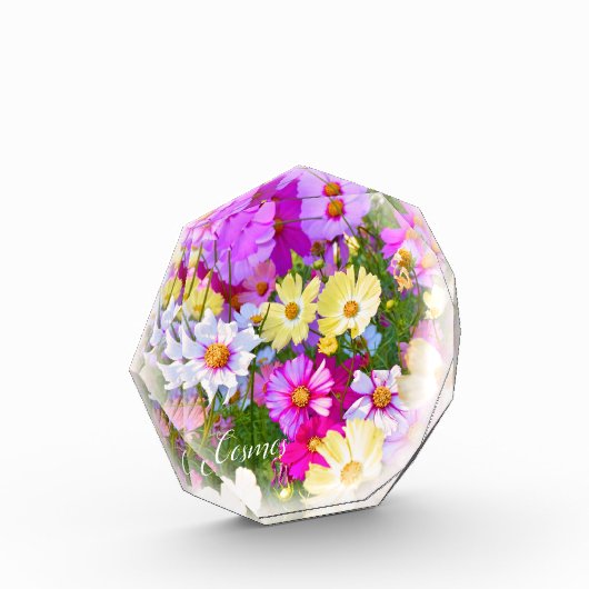 Cosmos フォトブロック fotoblock (Links)