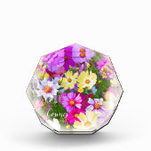 Cosmos フォトブロック fotoblock (Vorderseite)