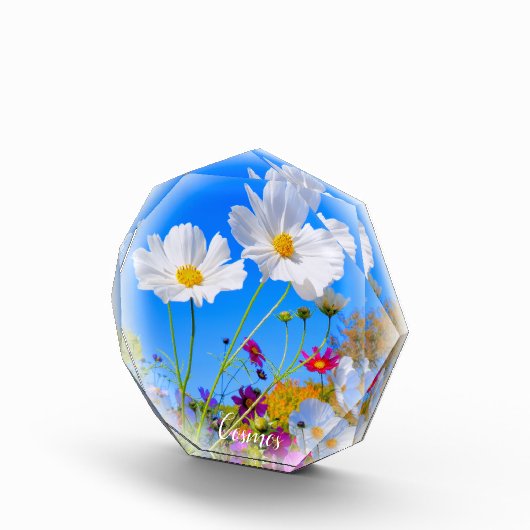 Cosmos フォトブロック fotoblock (Rechts)