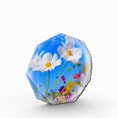 Cosmos フォトブロック fotoblock (Links)