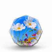 Cosmos フォトブロック fotoblock (Vorderseite)