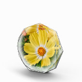 Cosmos フォトブロック fotoblock (Rechts)