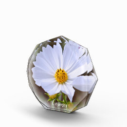 Cosmos フォトブロック fotoblock