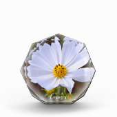 Cosmos フォトブロック fotoblock (Vorderseite)