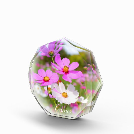 Cosmos フォトブロック fotoblock (Rechts)