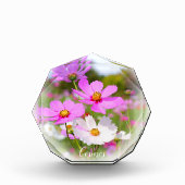 Cosmos フォトブロック fotoblock (Vorderseite)