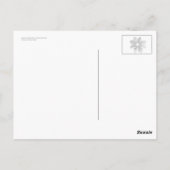 Cosmos bipinnatus postkarte (Rückseite)