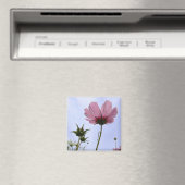 Cosmos Blume Magnet (In Situ (Geschirrspüler))