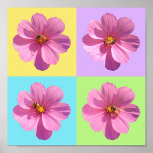 Cosmos-Blume mit Honigbiene Poster