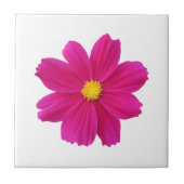 Cosmos Blume Tile Fliese (Vorderseite)
