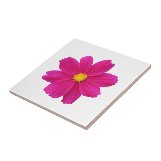 Cosmos Blume Tile Fliese (Seite)