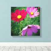 Cosmos Blume Trio Leinwanddruck (Insitu (Holzboden))