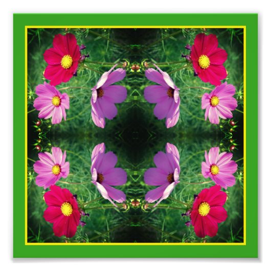 Cosmos Blume Trio Mirror Abstrakt 8x8 Fotodruck (Vorne)