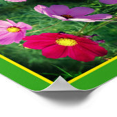 Cosmos Blume Trio Mirror Abstrakt Poster (Ecke)