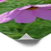 Cosmos Blume Trio Mirror Abstrakt Poster (Ecke)