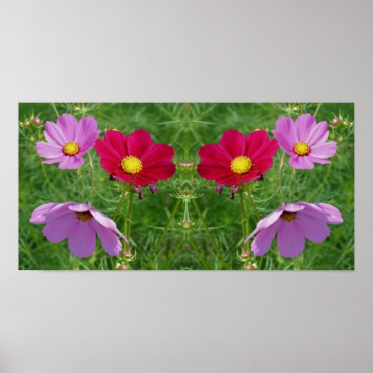 Cosmos Blume Trio Mirror Abstrakt Poster (Vorne)