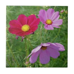 Cosmos Blume Trio Nature Fliese