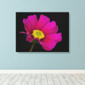 Cosmos Flower Canvas Print Leinwanddruck (Insitu (Holzboden))